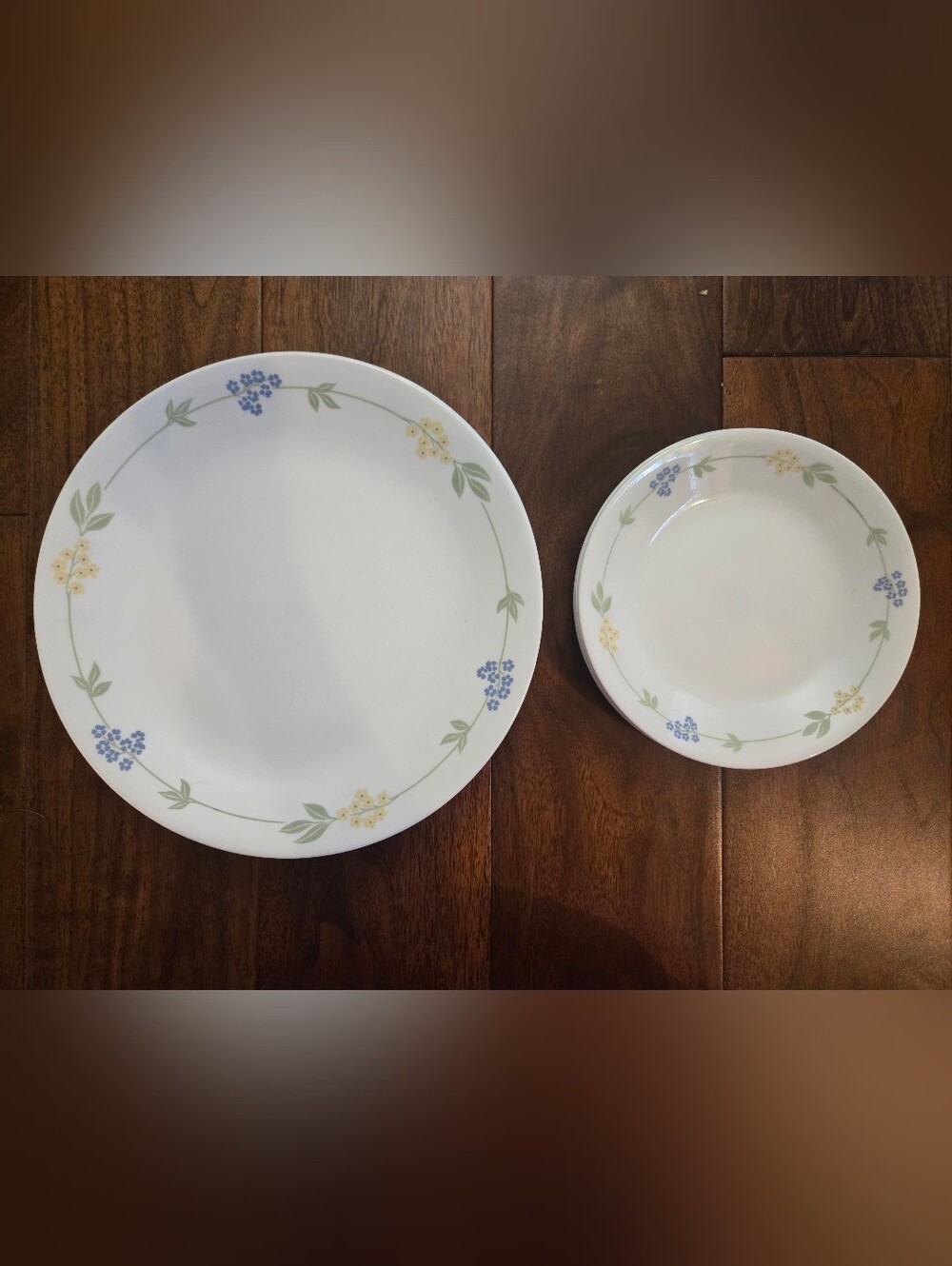 Corelle Secret Garden Plates
